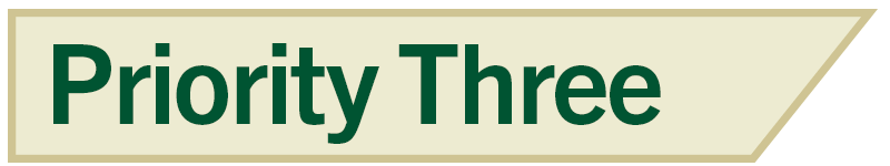 Priority Three v2-min.png